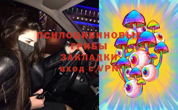 хмурый Белокуриха